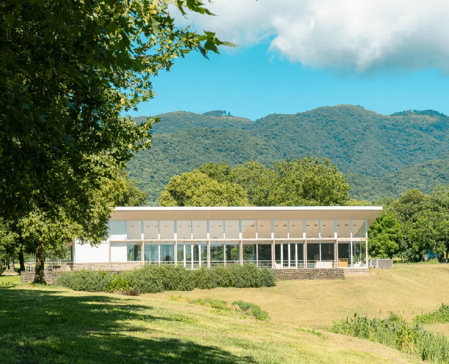 CARRUSEL - SUM - SAN PABLO COUNTRY
