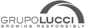 Grupo Lucci